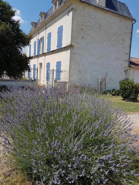 مبيت وإفطار Tanzac Le Domaine De Bellevue المظهر الخارجي الصورة